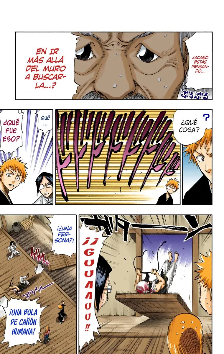 Bleach (Color) capítulo 76, página 17