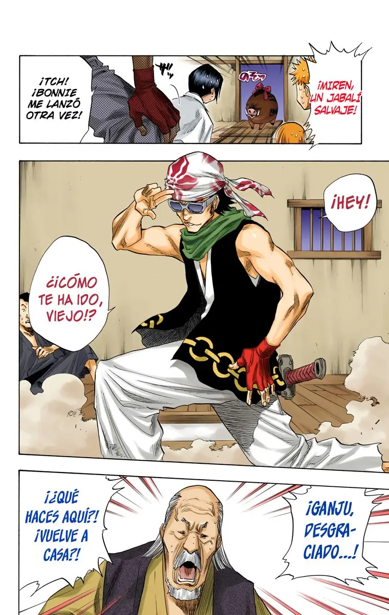 Bleach (Color) capítulo 76, página 18
