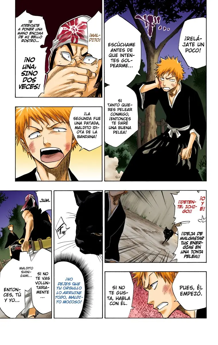 Bleach (Color) capítulo 77, página 10