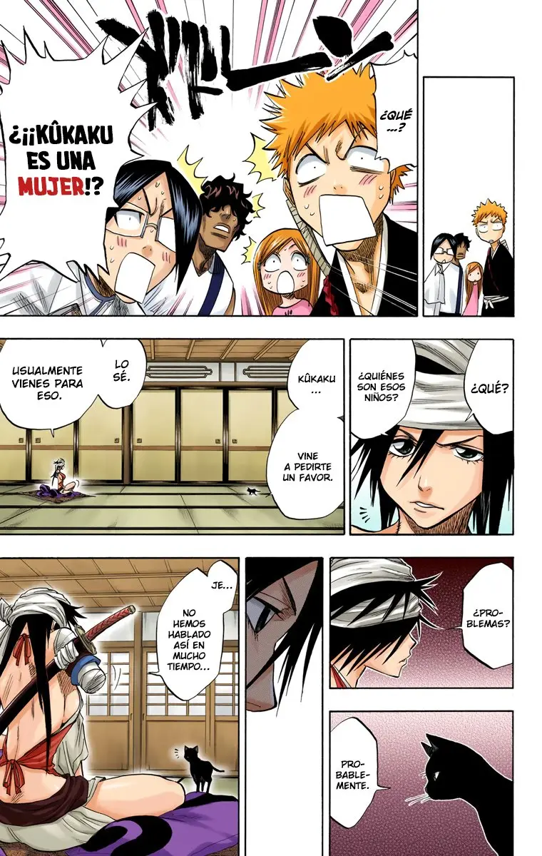 Bleach (Color) capítulo 78, página 16