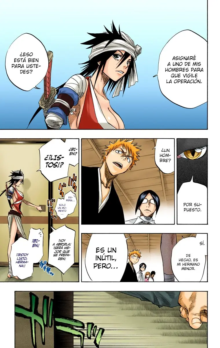 Bleach (Color) capítulo 78, página 18