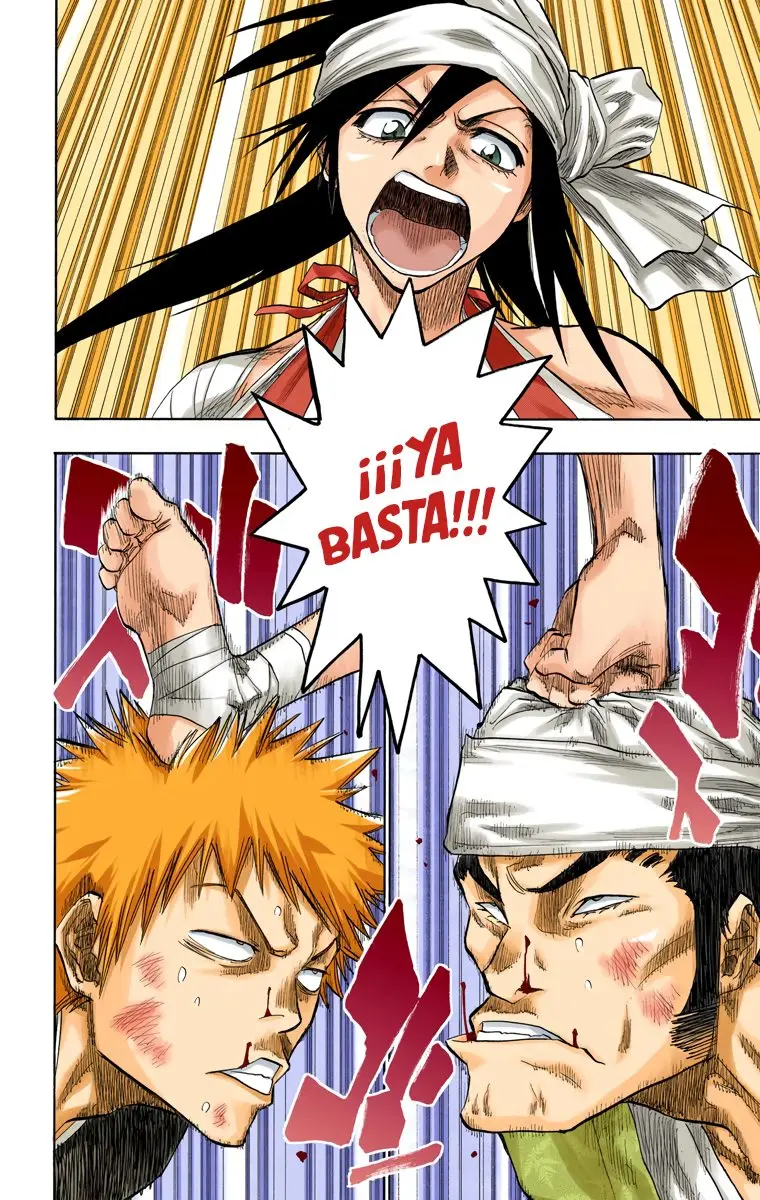 Bleach (Color) capítulo 79, página 15
