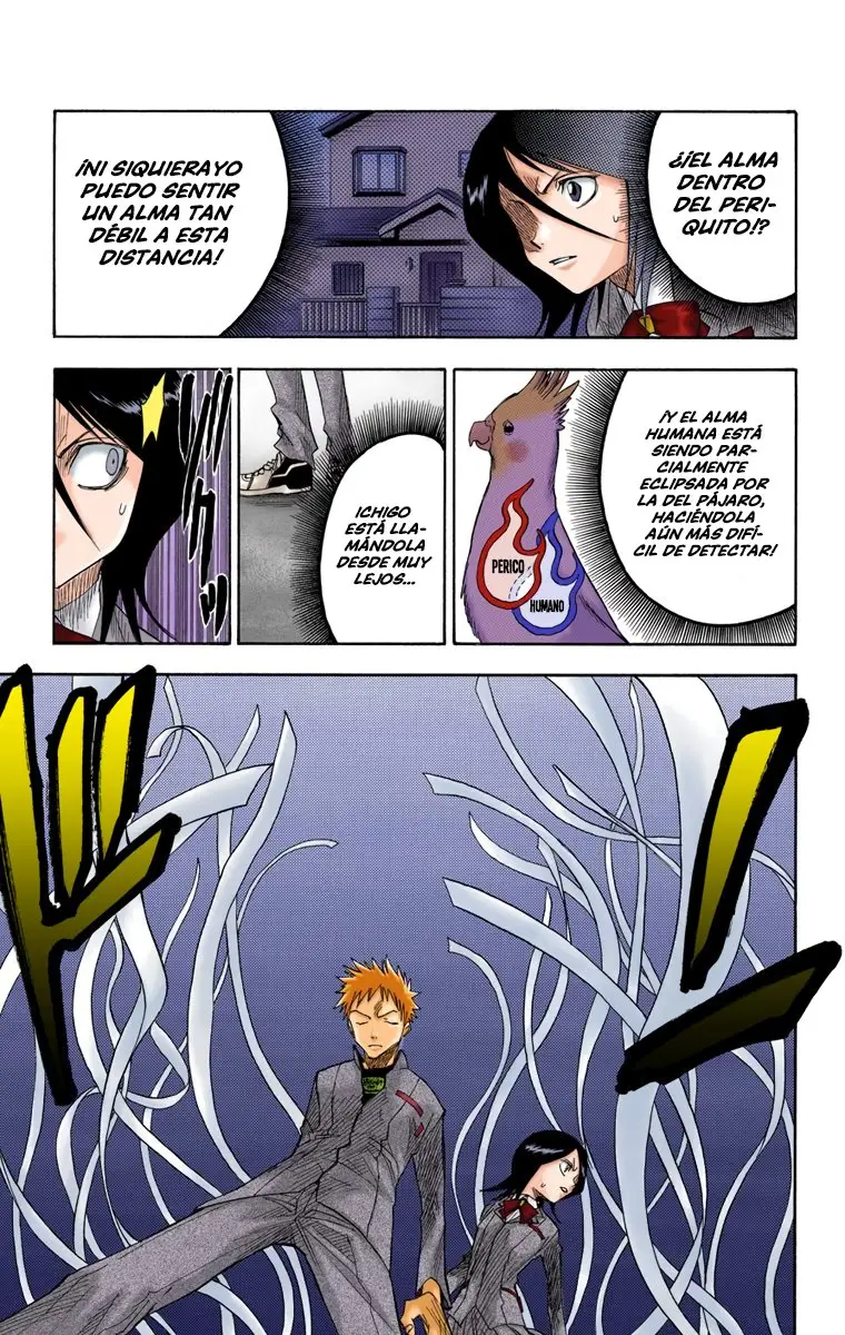 Bleach (Color) capítulo 8, página 15