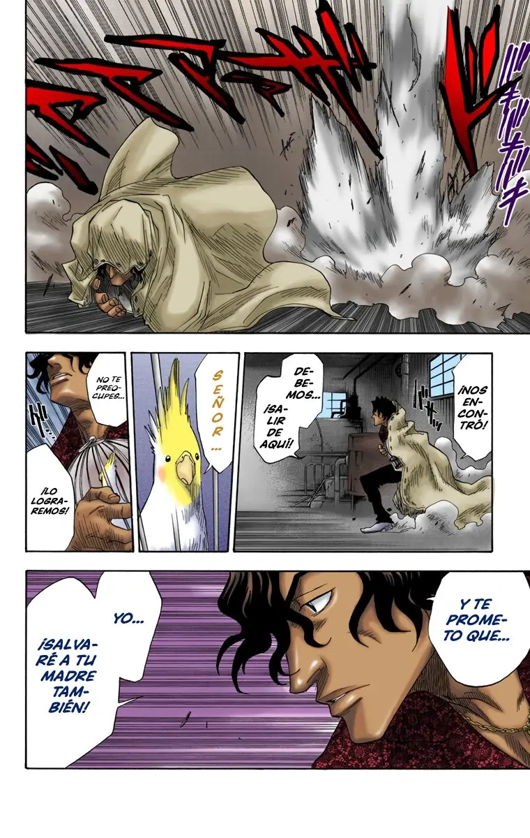 Bleach (Color) capítulo 8, página 18