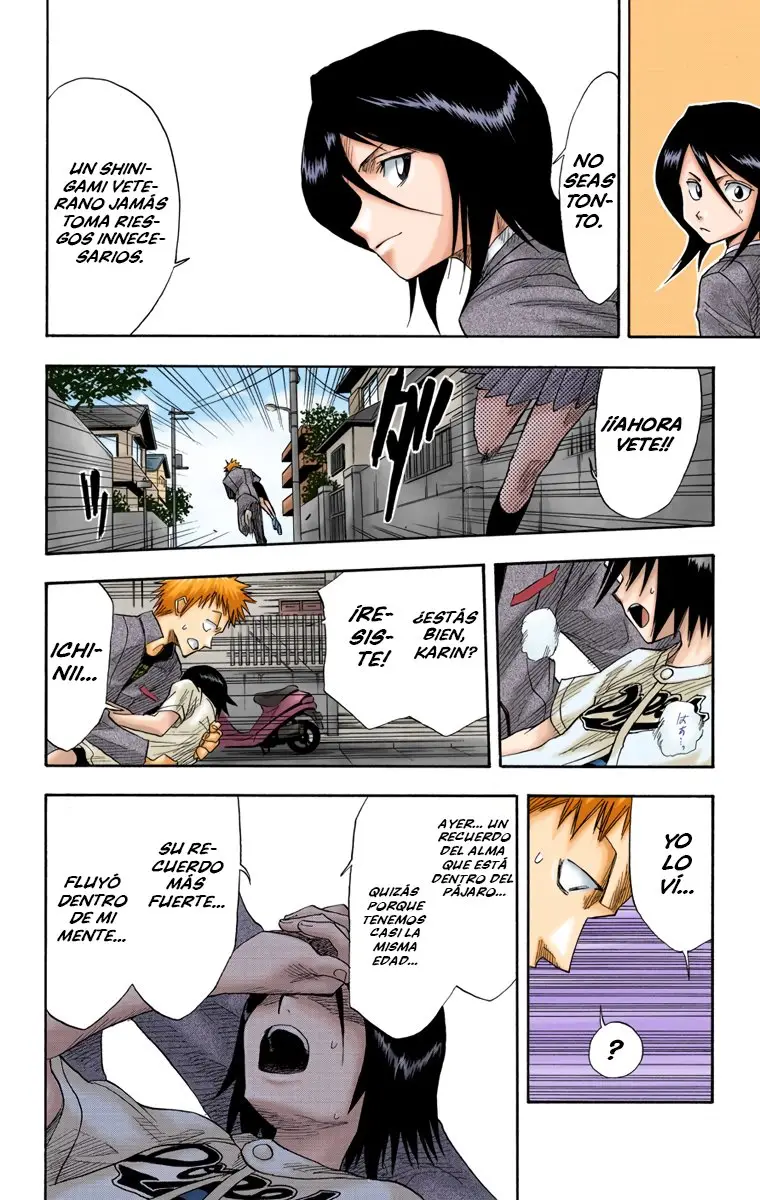 Bleach (Color) capítulo 8, página 22