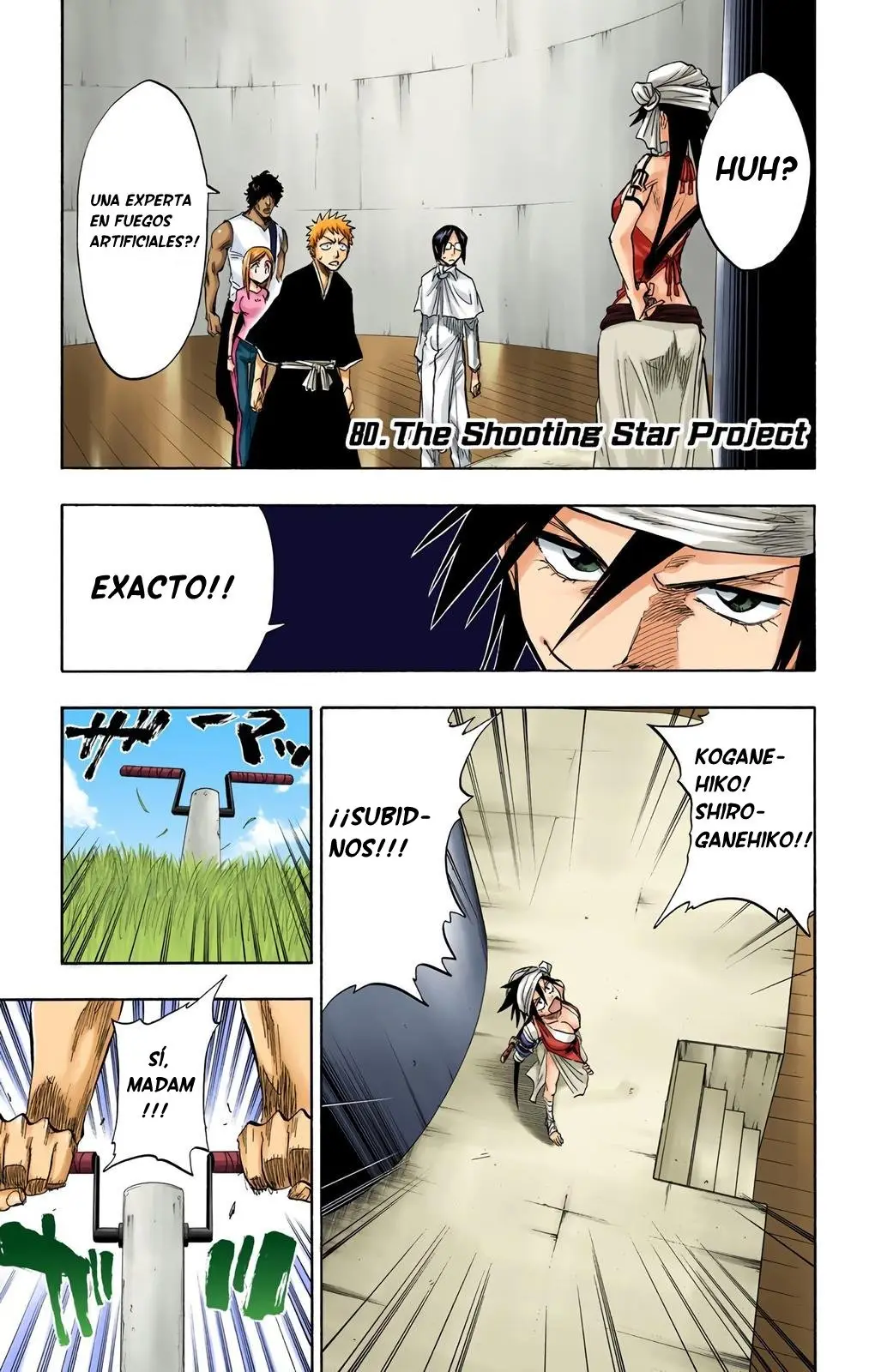 Bleach (Color) capítulo 80, página 7