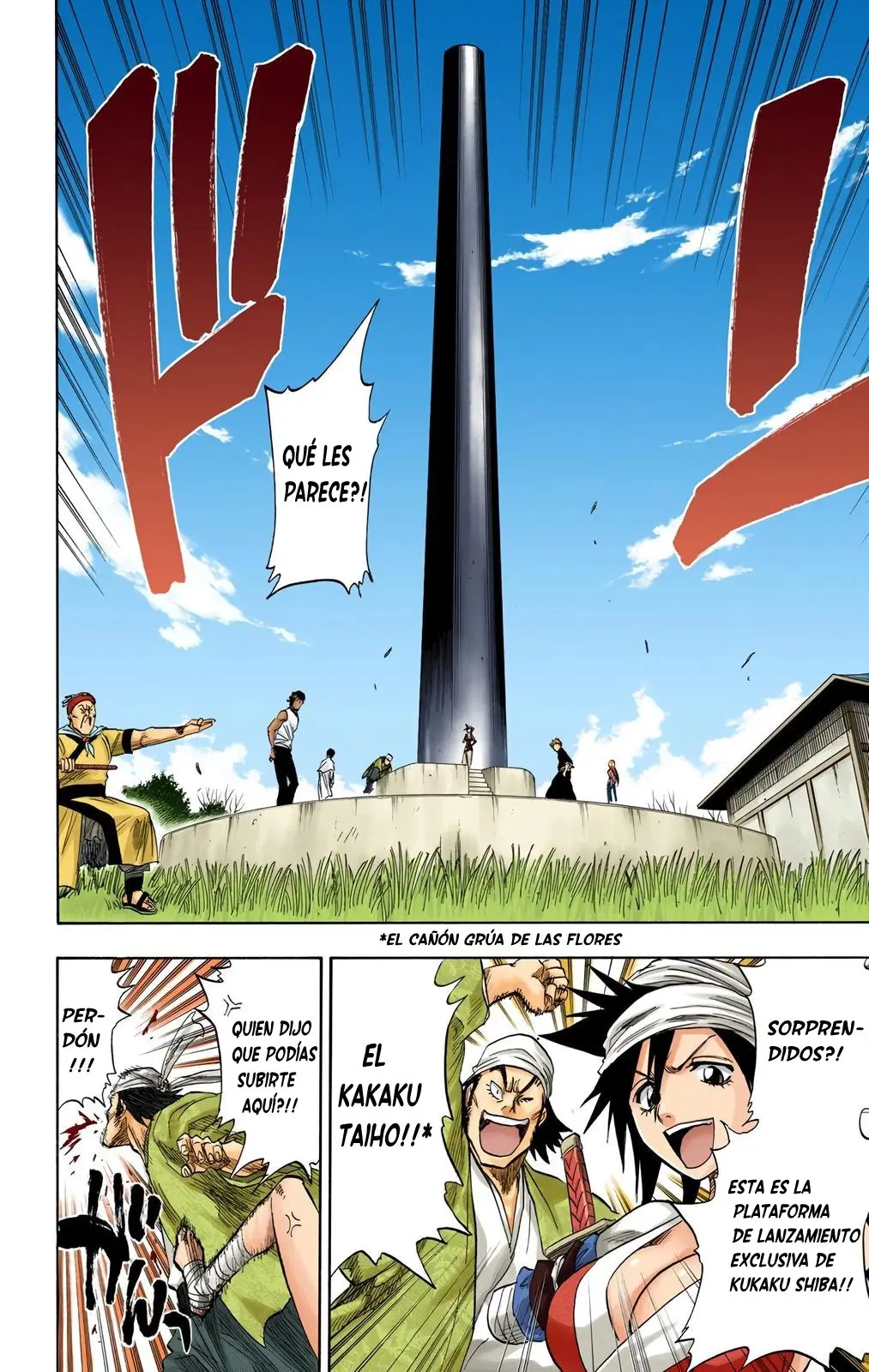Bleach (Color) capítulo 80, página 10