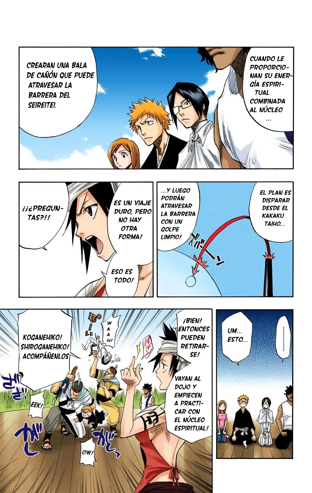 Bleach (Color) capítulo 80, página 17
