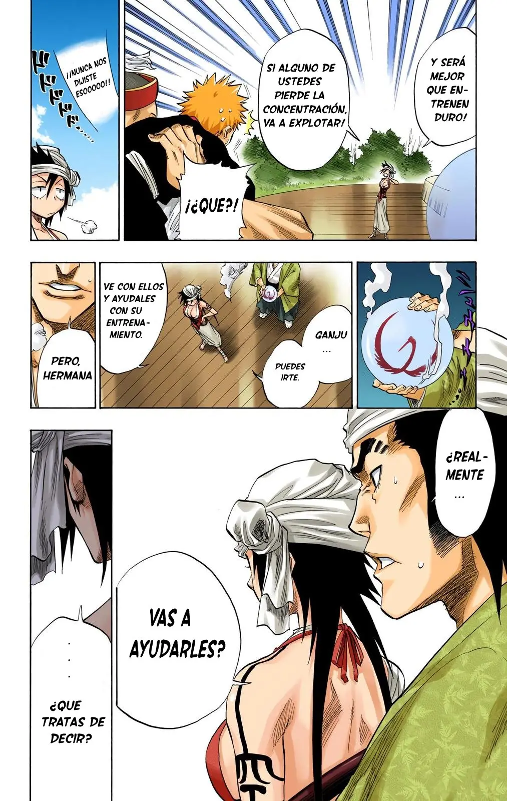 Bleach (Color) capítulo 80, página 18