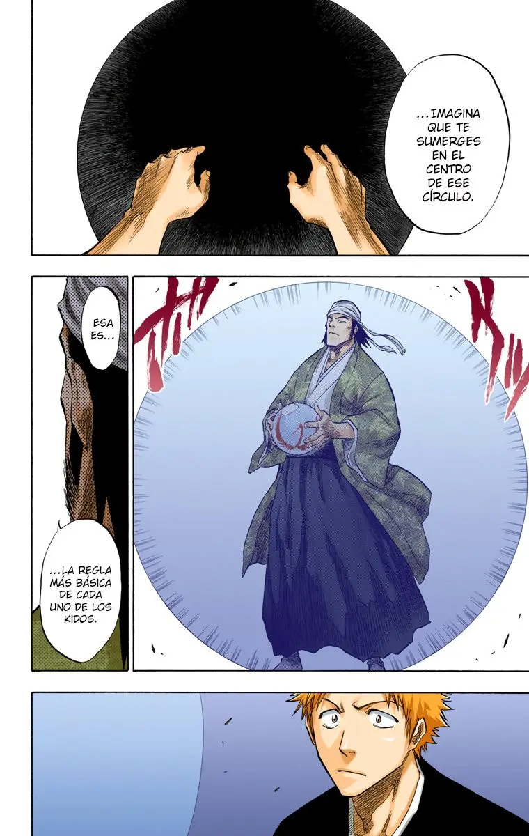 Bleach (Color) capítulo 81, página 15