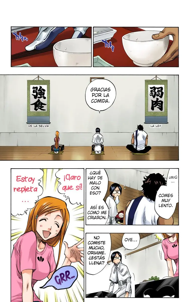 Bleach (Color) capítulo 82, página 8