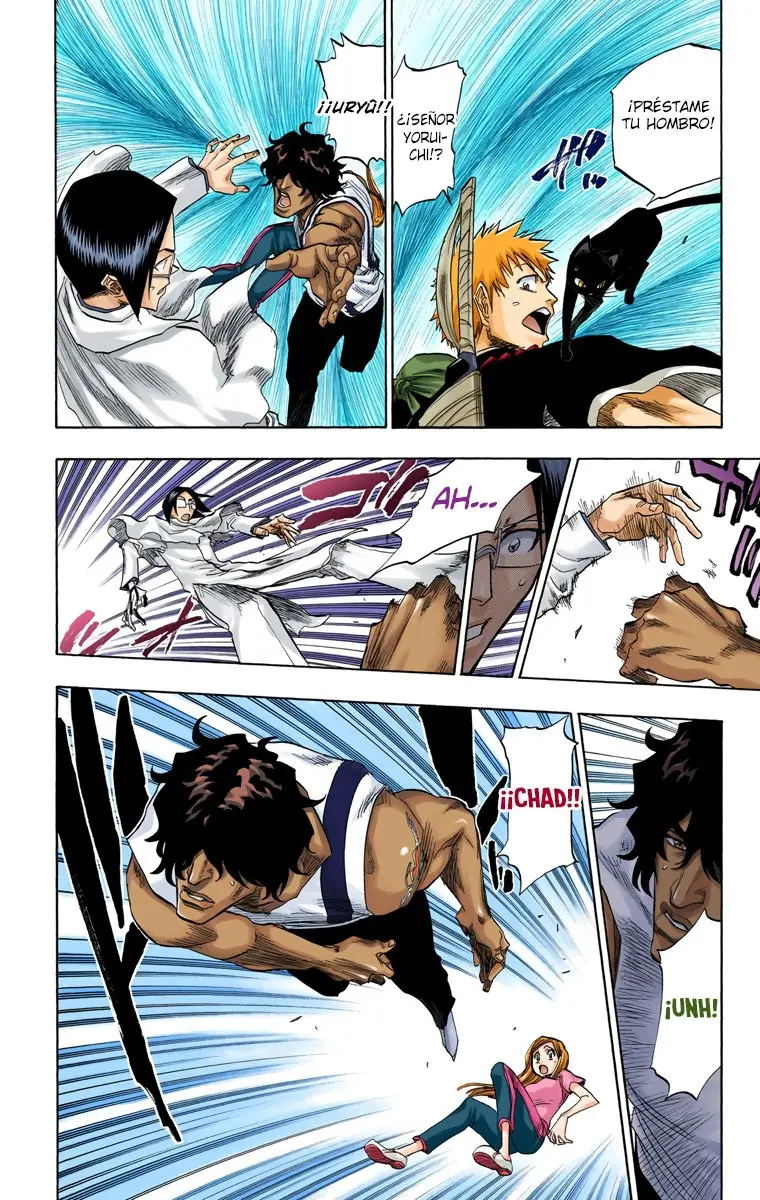Bleach (Color) capítulo 85, página 10