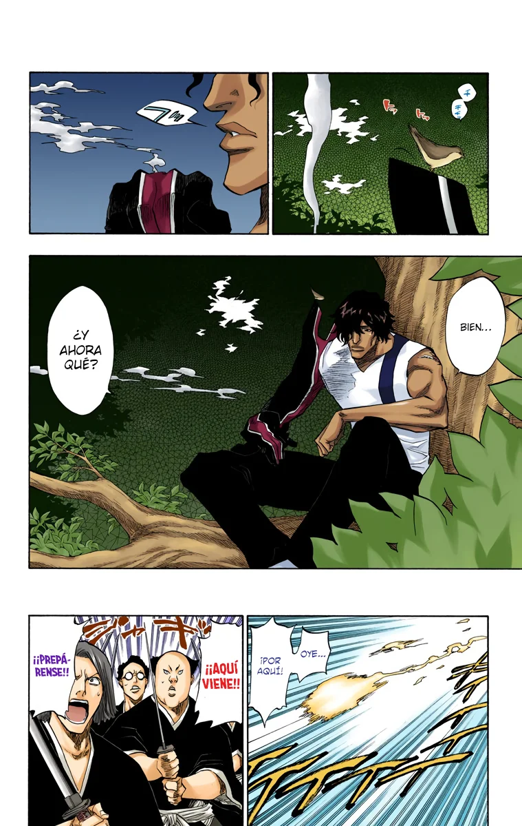 Bleach (Color) capítulo 86, página 3