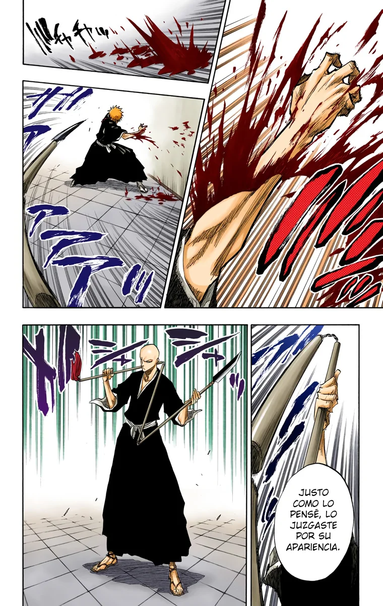Bleach (Color) capítulo 87, página 22