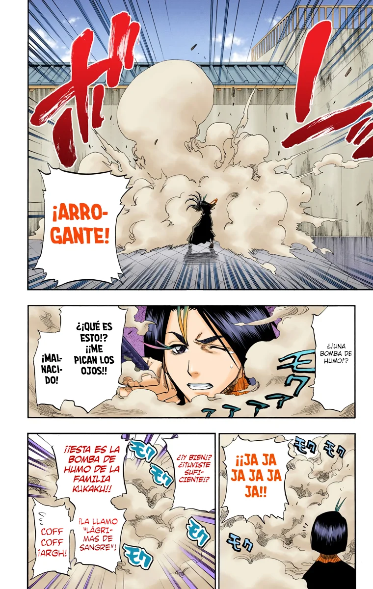 Bleach (Color) capítulo 89, página 9