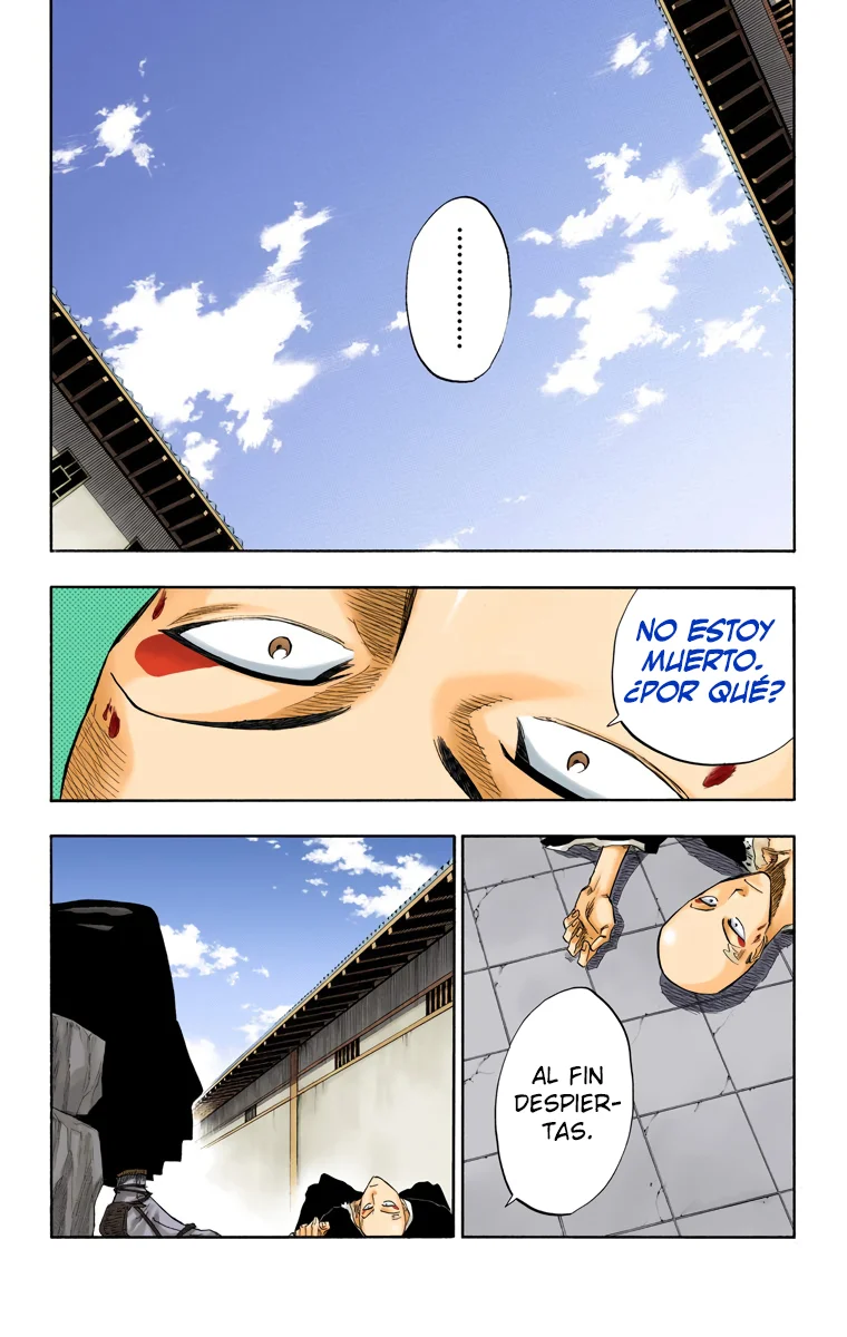 Bleach (Color) capítulo 89, página 12