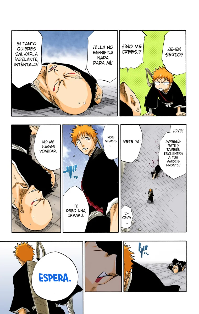 Bleach (Color) capítulo 89, página 18