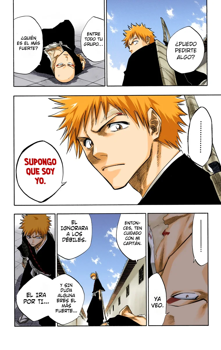Bleach (Color) capítulo 89, página 19