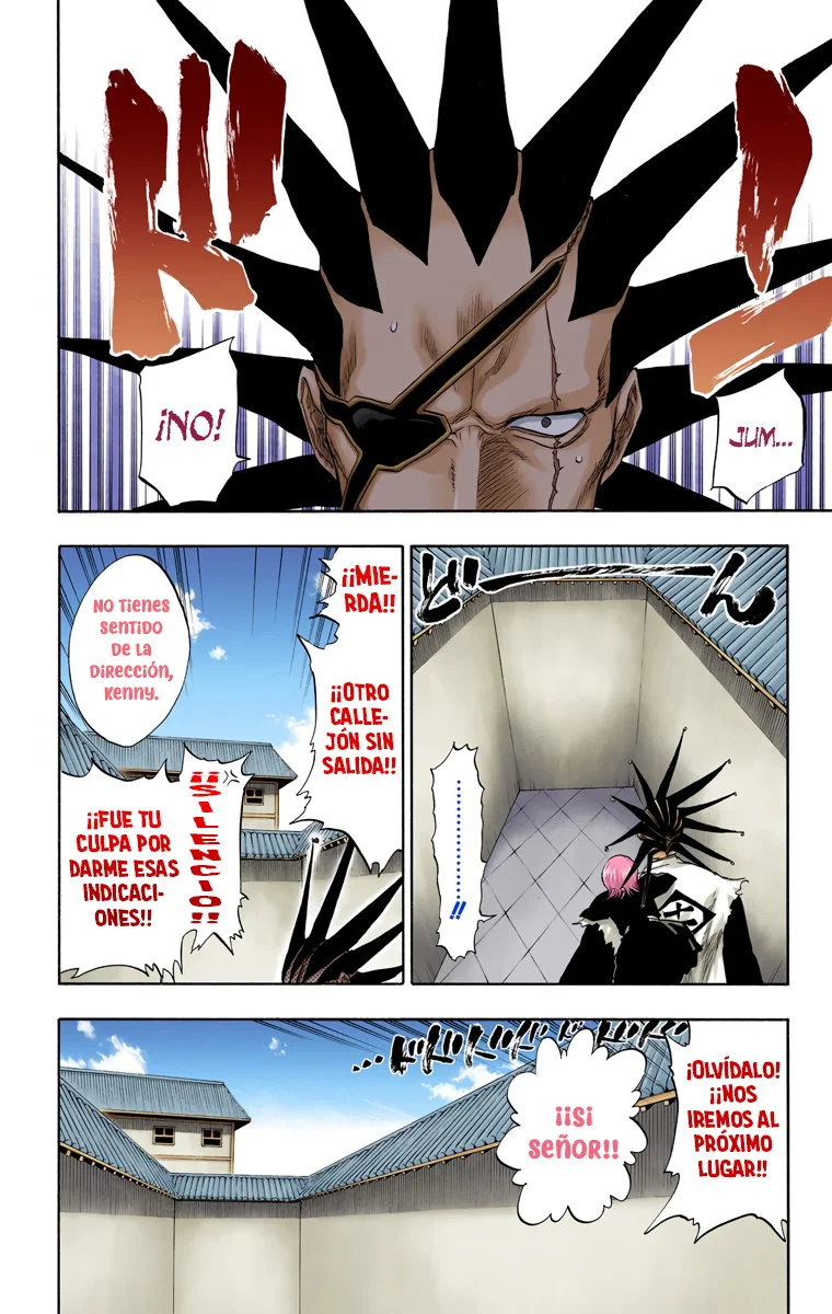 Bleach (Color) capítulo 89, página 21