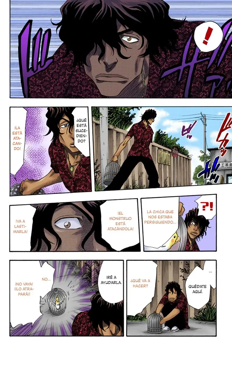 Bleach (Color) capítulo 9, página 12
