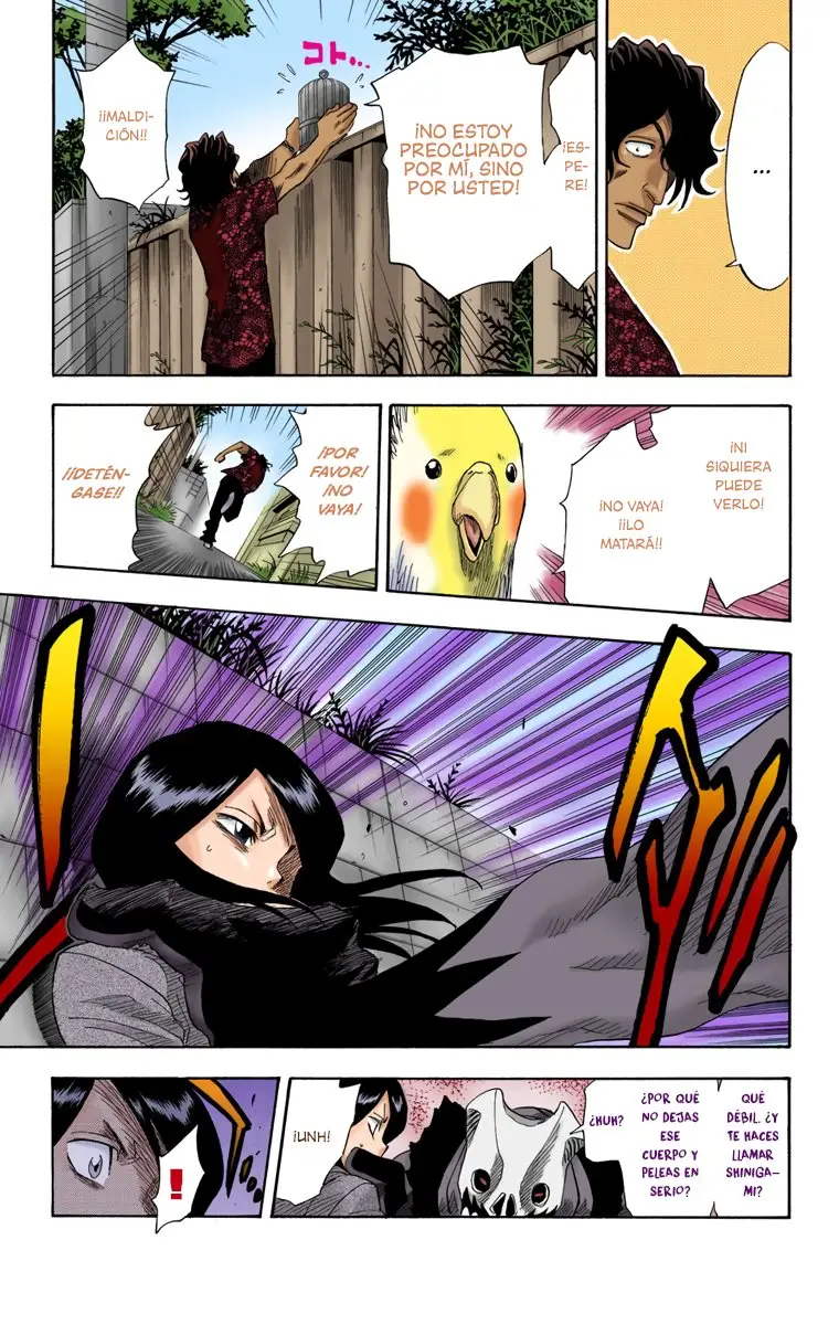 Bleach (Color) capítulo 9, página 13