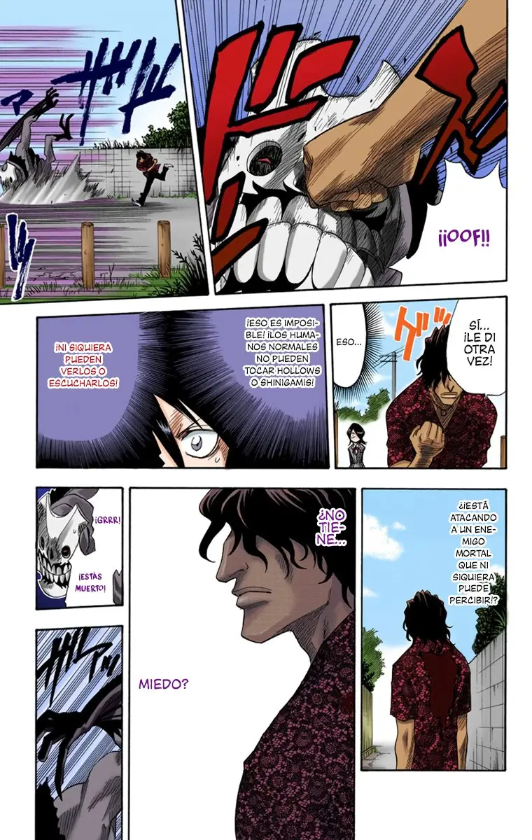 Bleach (Color) capítulo 9, página 15