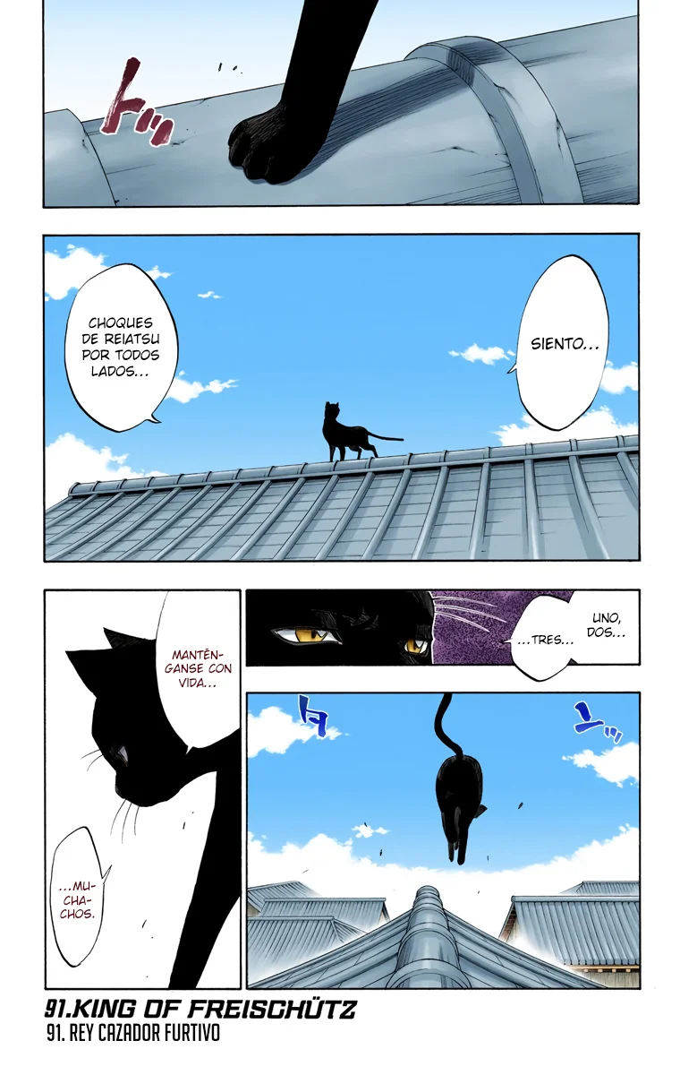 Bleach (Color) capítulo 91, página 4