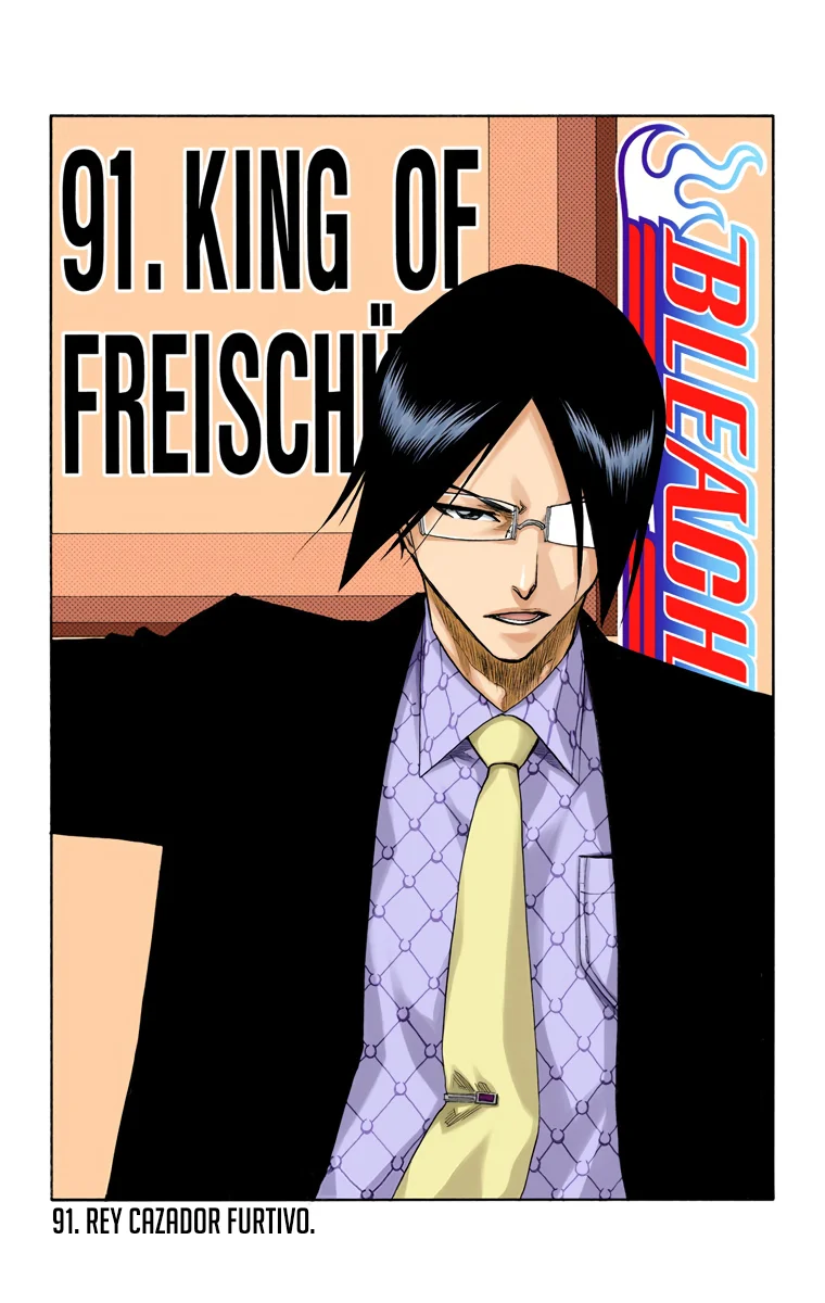 Bleach (Color) capítulo 91, página 10