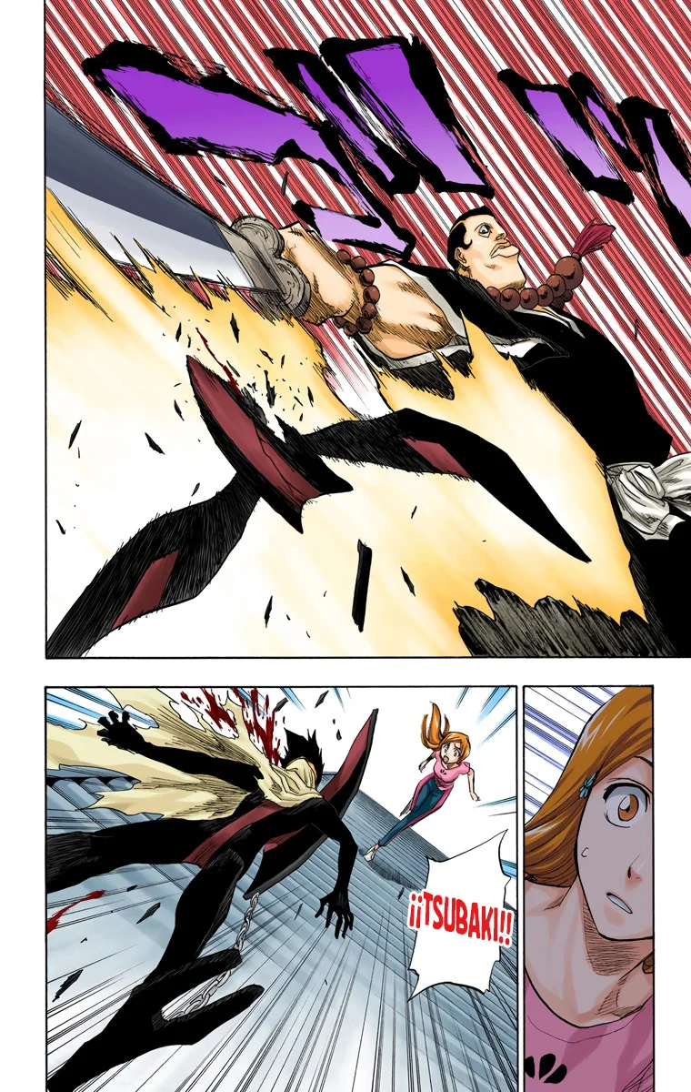 Bleach (Color) capítulo 91, página 13