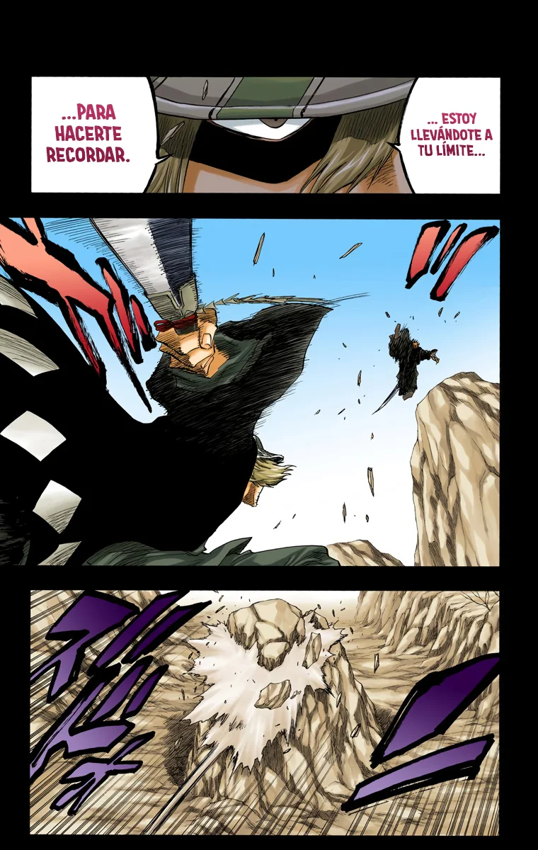 Bleach (Color) capítulo 97, página 10