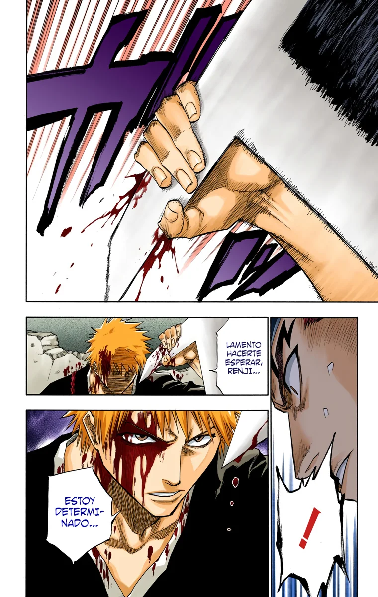 Bleach (Color) capítulo 97, página 17