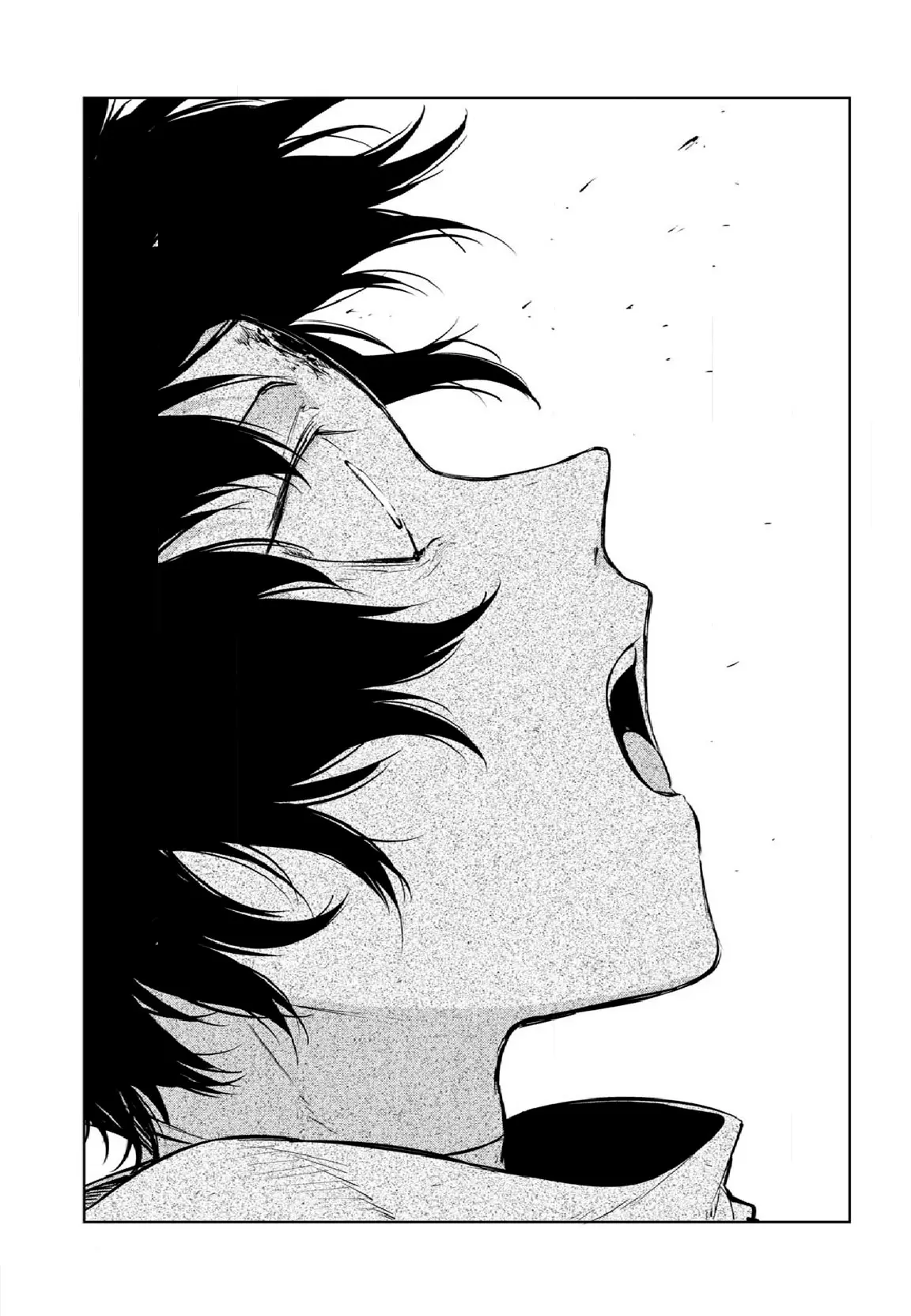 Bungou Stray Dogs capítulo 109, página 24