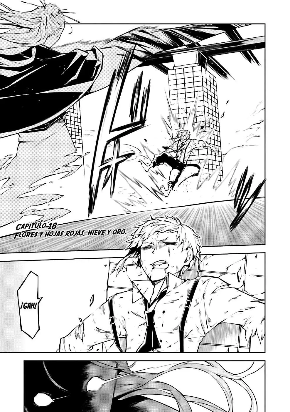 Bungou Stray Dogs capítulo 18, página 6