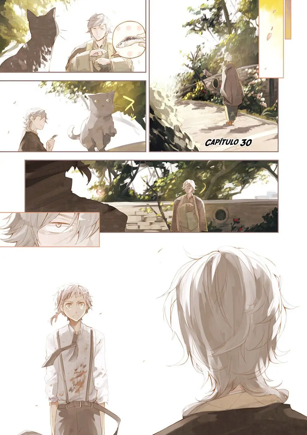 Bungou Stray Dogs capítulo 30, página 5
