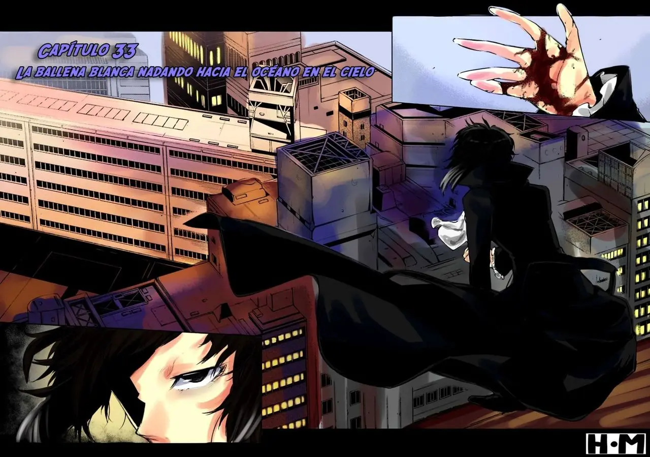 Bungou Stray Dogs capítulo 33, página 5