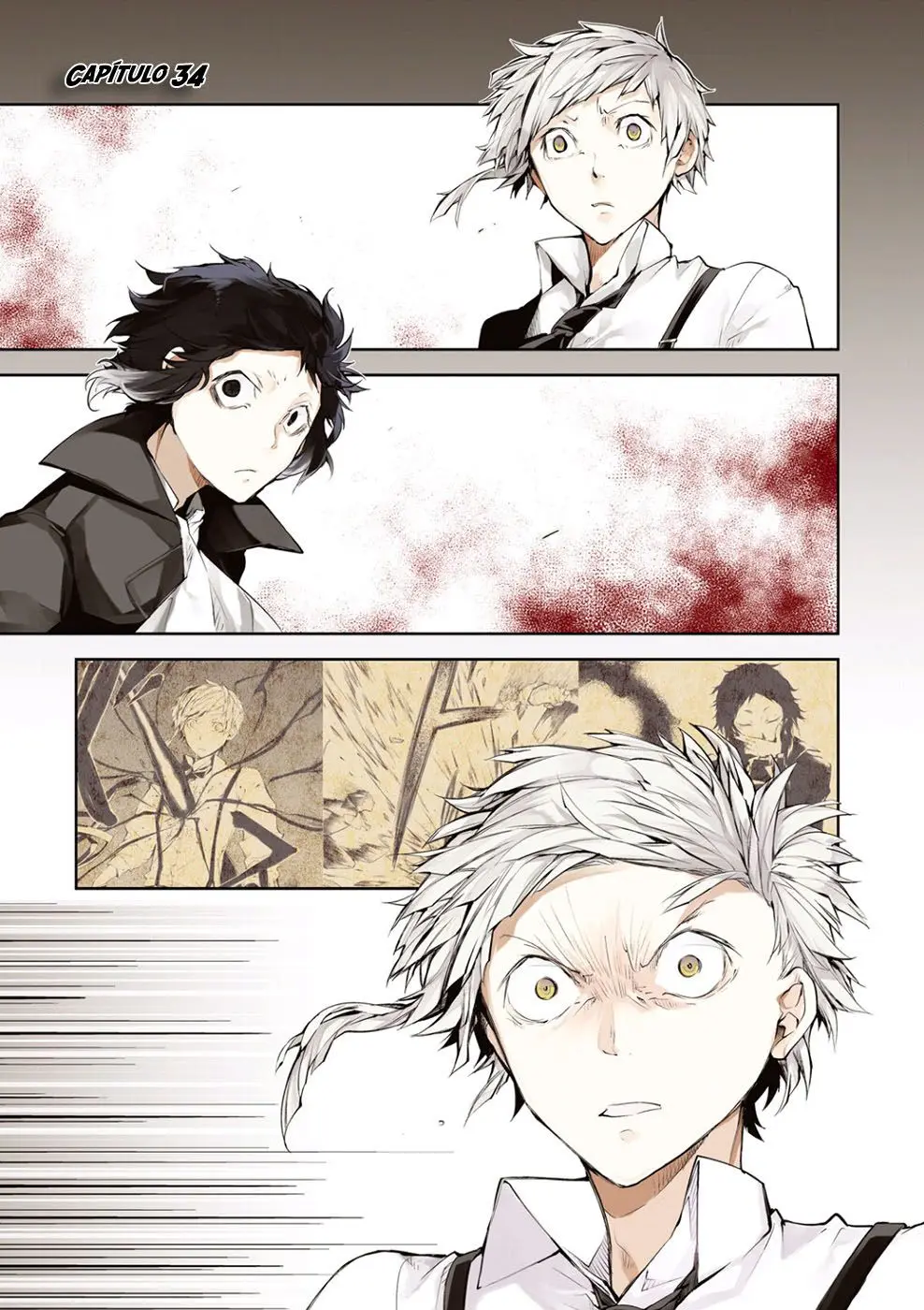 Bungou Stray Dogs capítulo 34, página 5