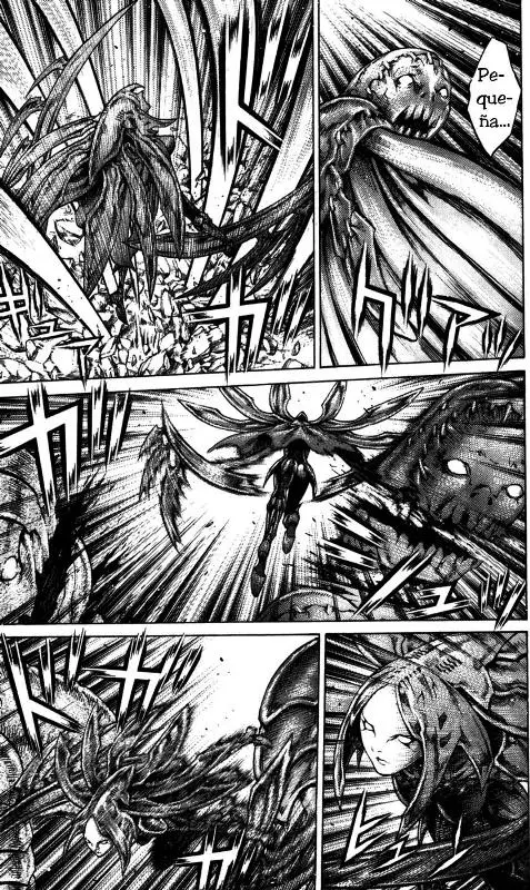 Claymore capítulo 62, página 14