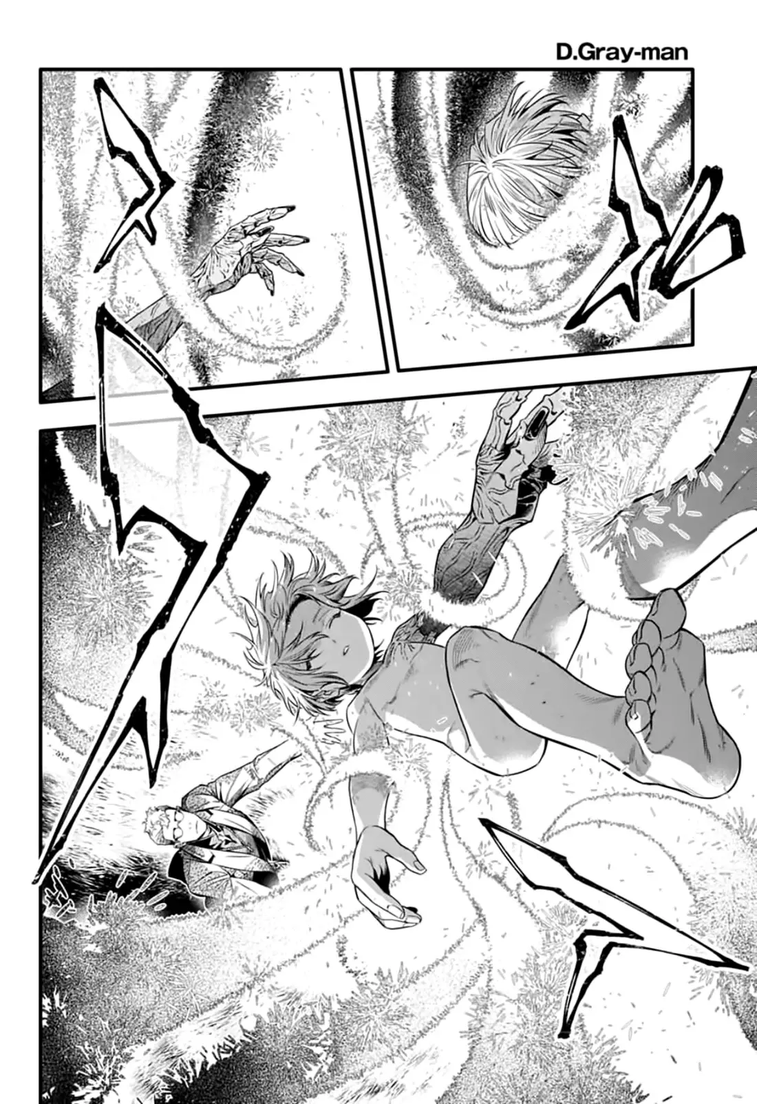 D.Gray-man capítulo 254, página 12