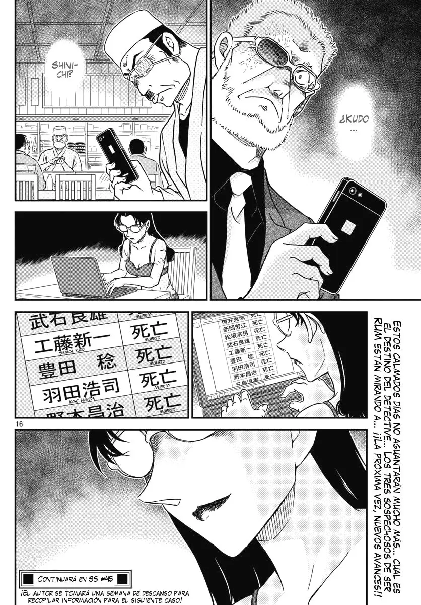 Detective Conan capítulo 1005, página 17