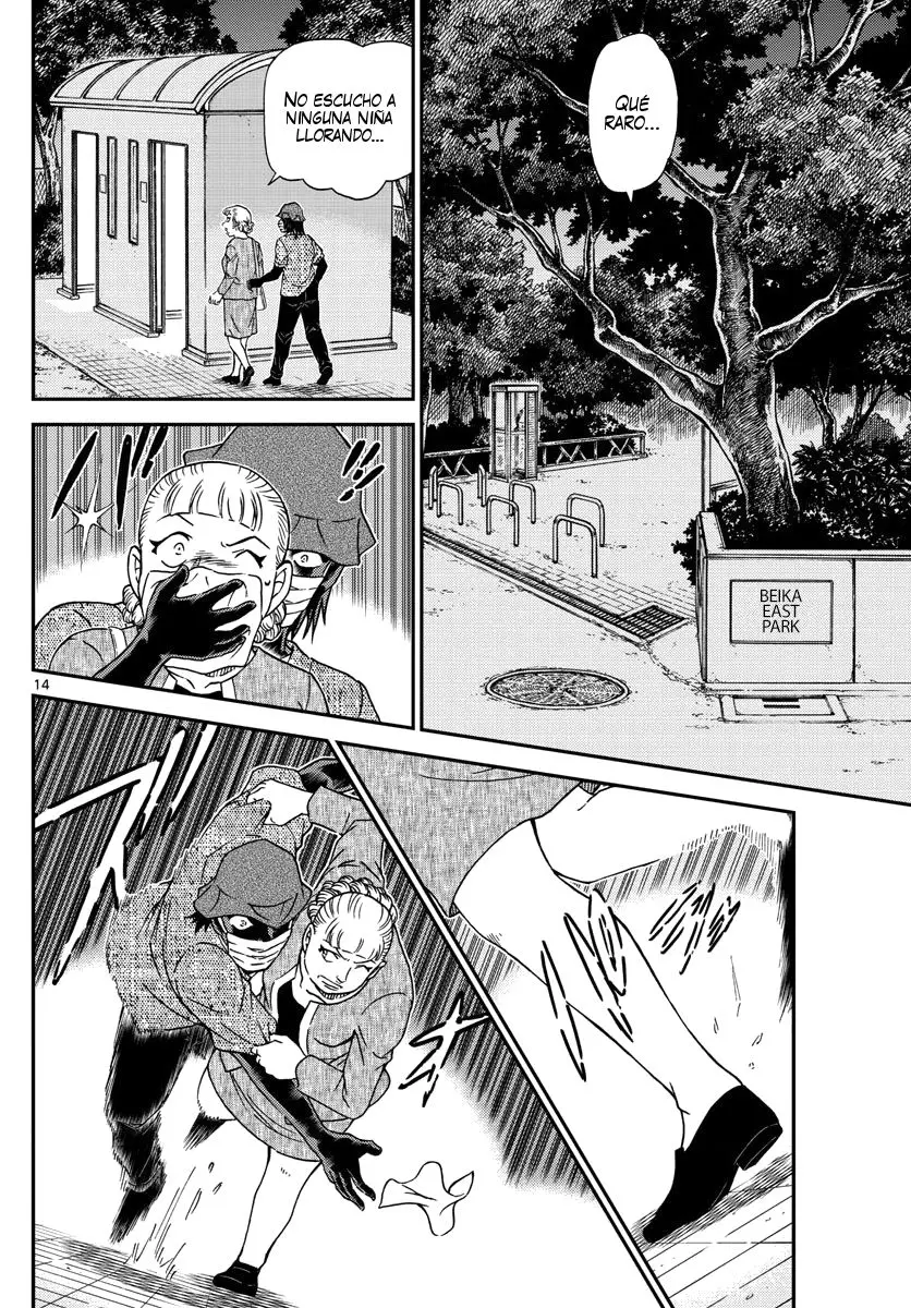Detective Conan capítulo 1013, página 15