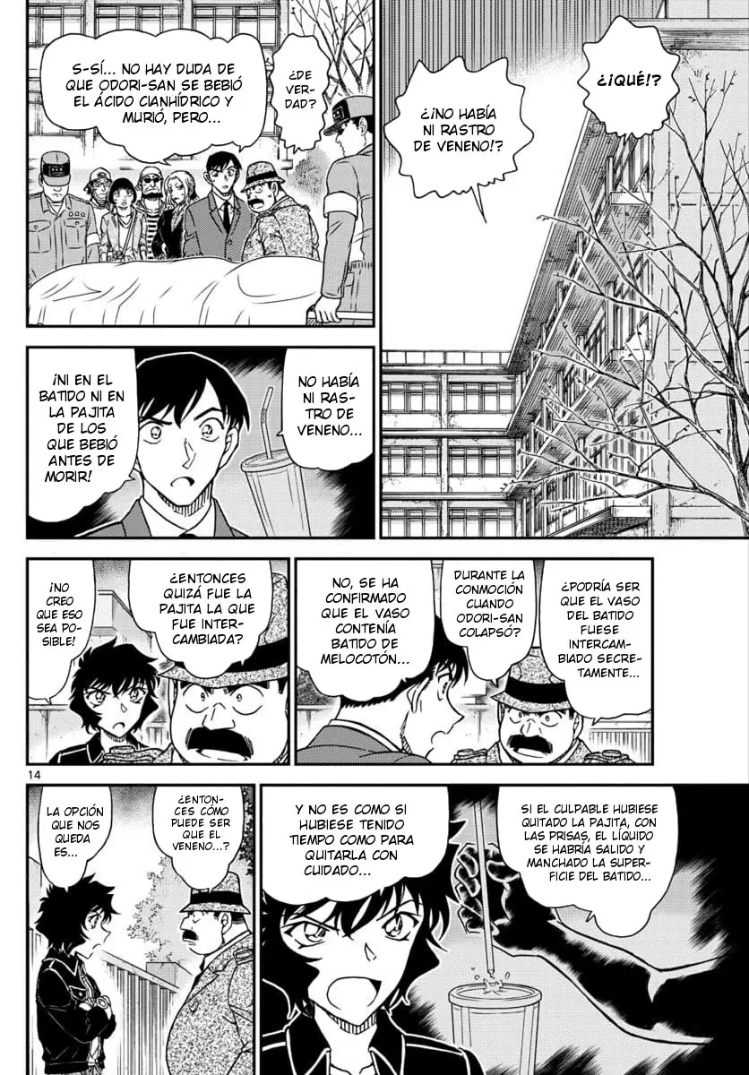 Detective Conan capítulo 1024, página 14