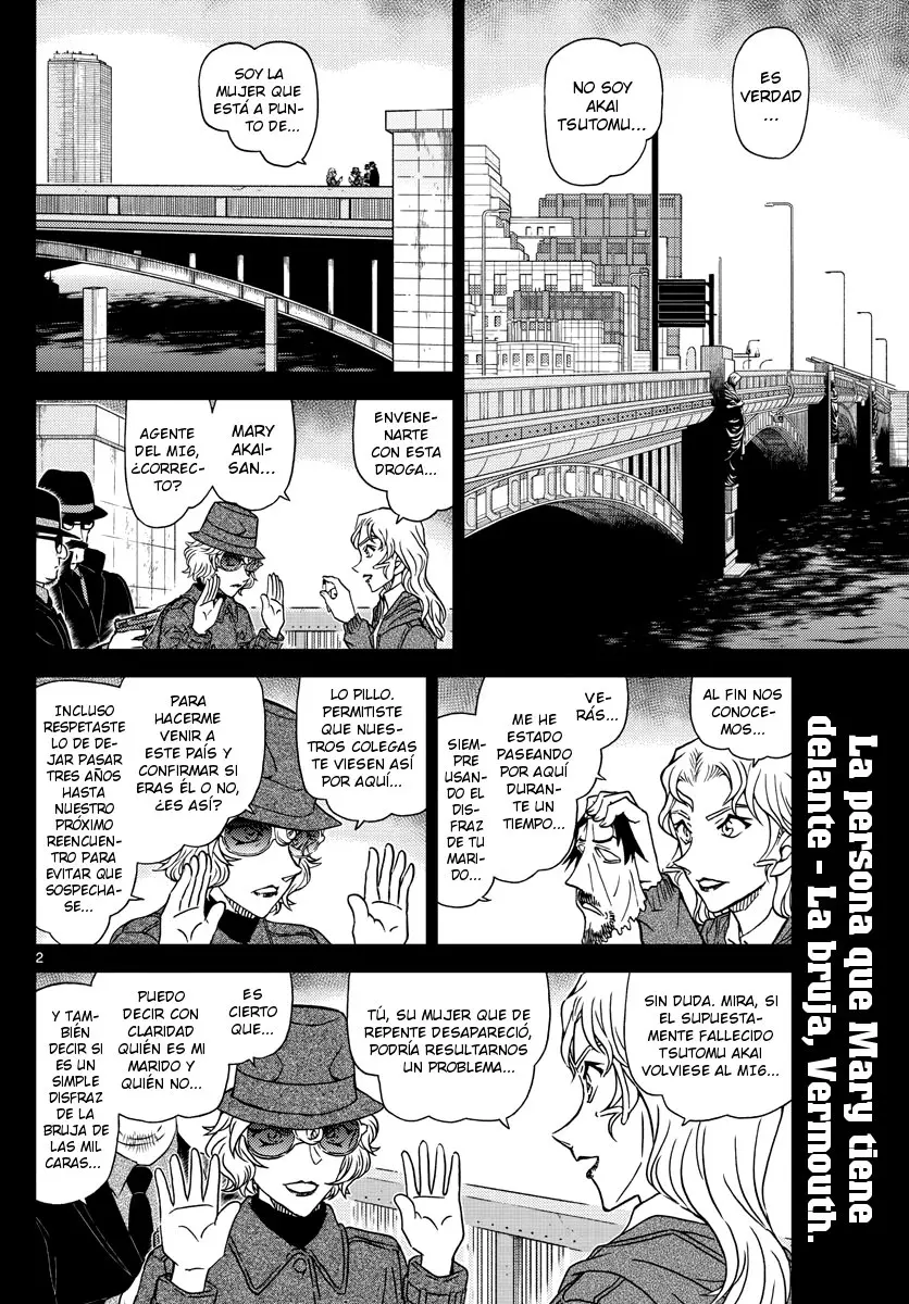 Detective Conan capítulo 1049, página 2