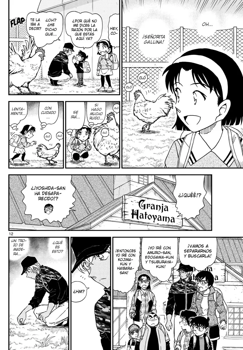 Detective Conan capítulo 1051, página 13
