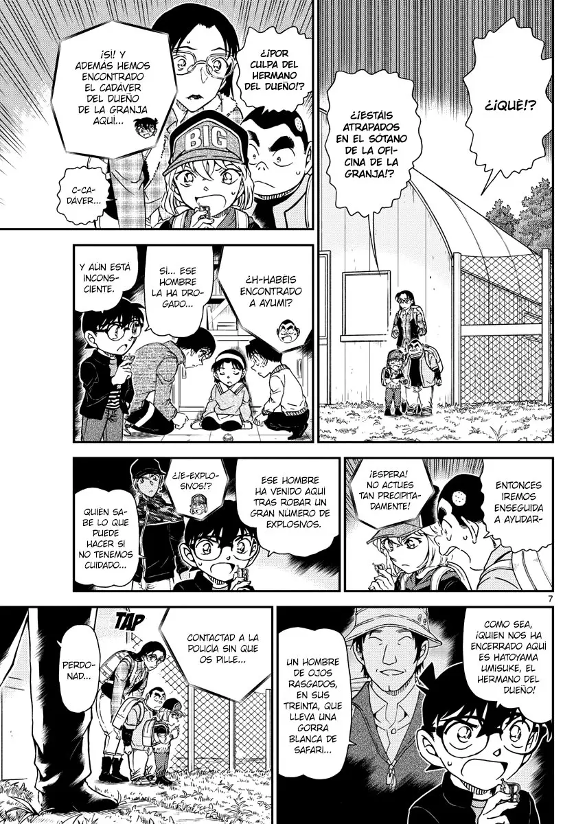 Detective Conan capítulo 1052, página 8