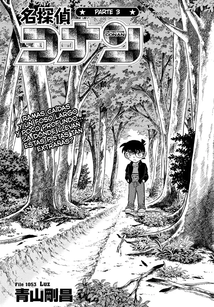 Detective Conan capítulo 1053, página 1
