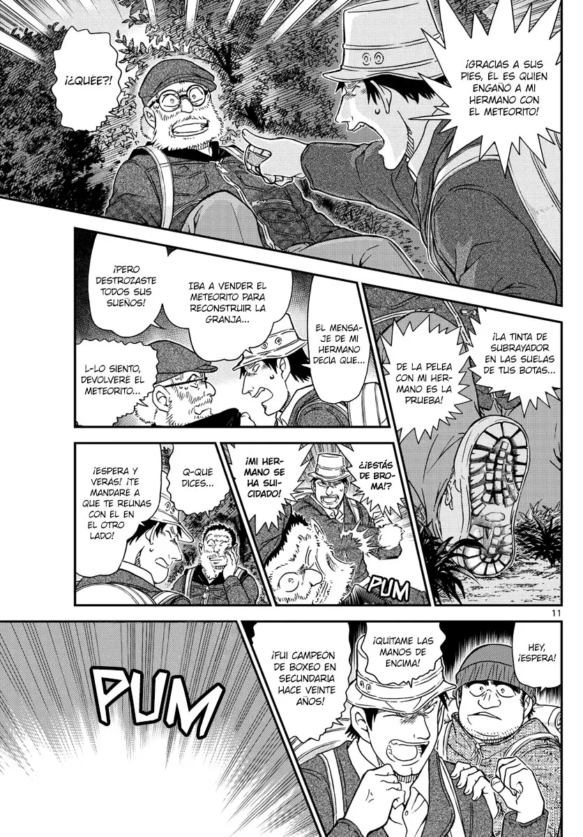 Detective Conan capítulo 1054, página 12