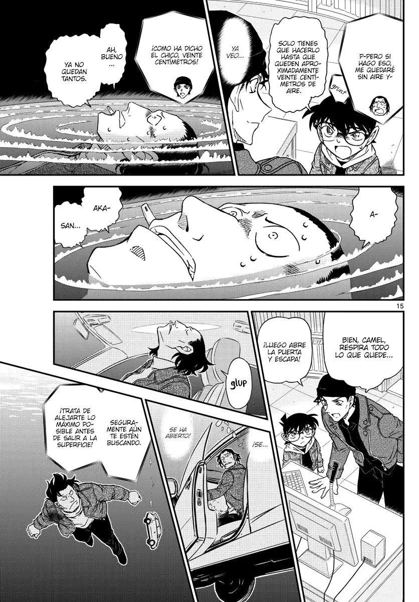 Detective Conan capítulo 1063, página 15