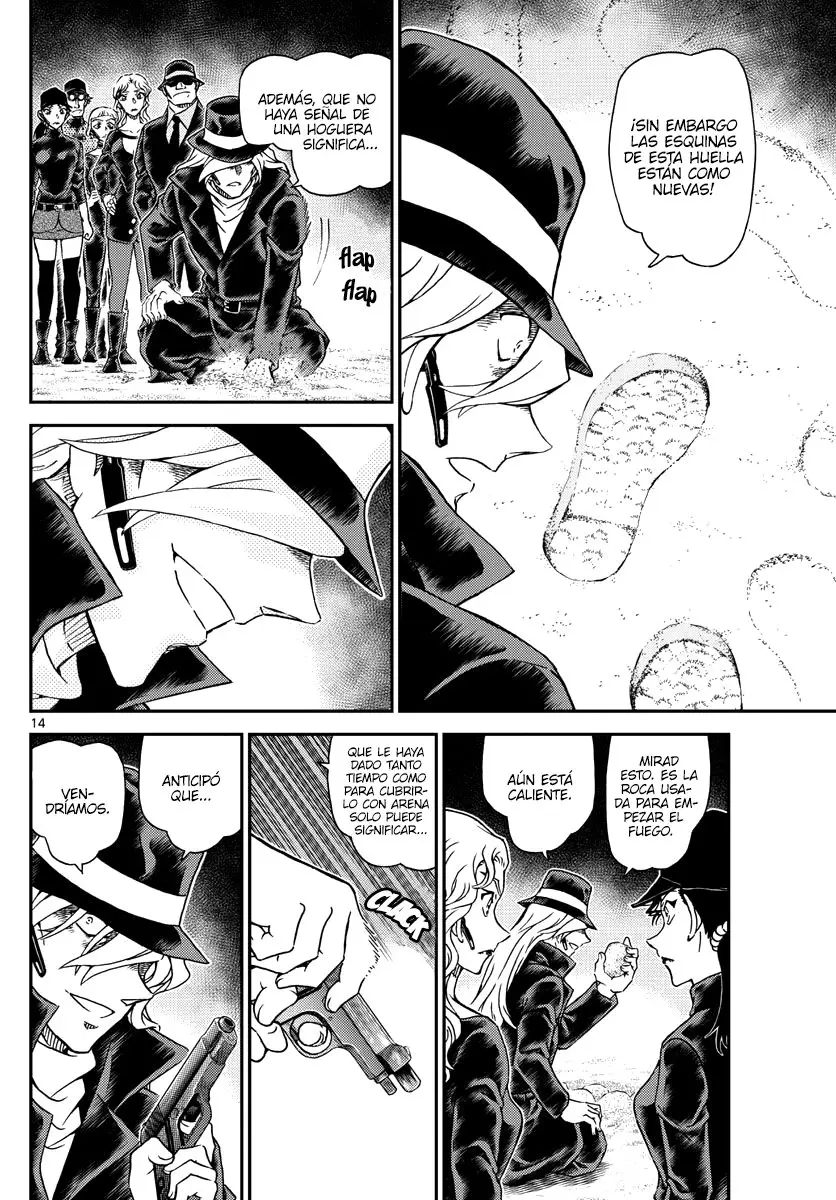 Detective Conan capítulo 1064, página 14