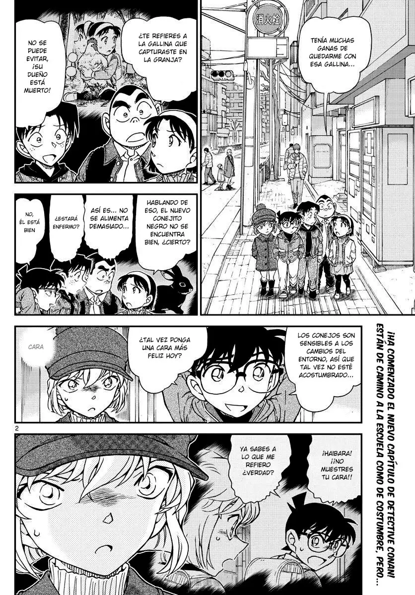 Detective Conan capítulo 1070, página 3