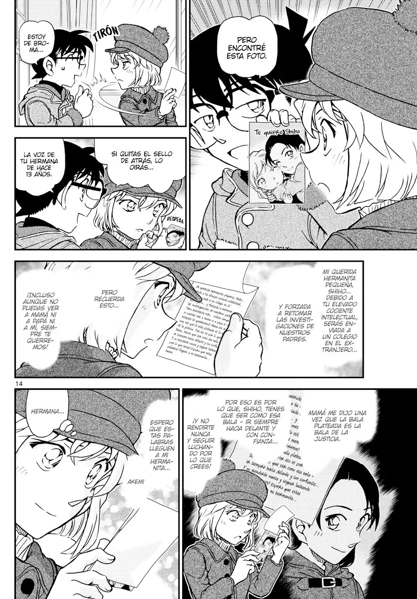 Detective Conan capítulo 1072, página 14